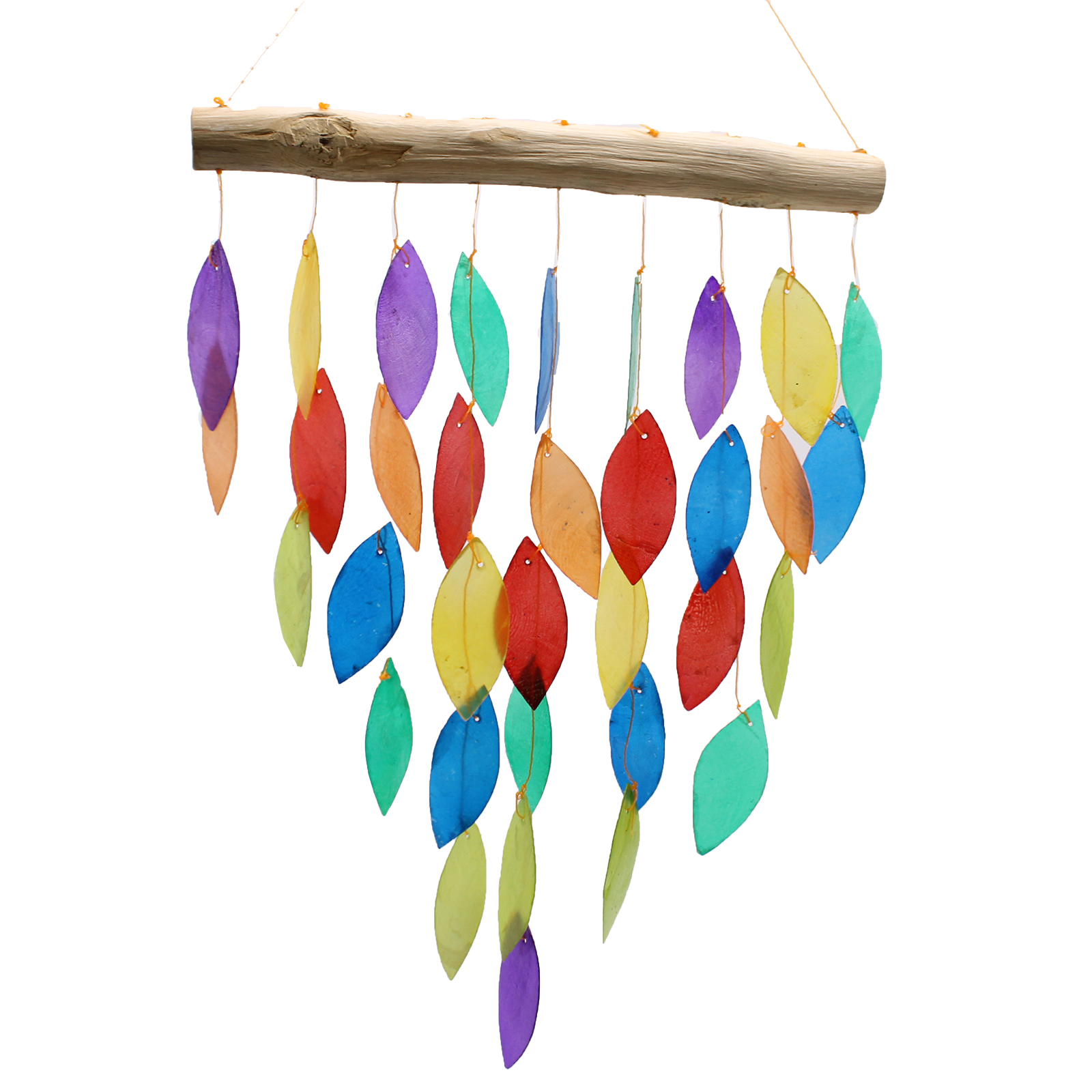 Zvonkohra Rainbow Leaf Copis