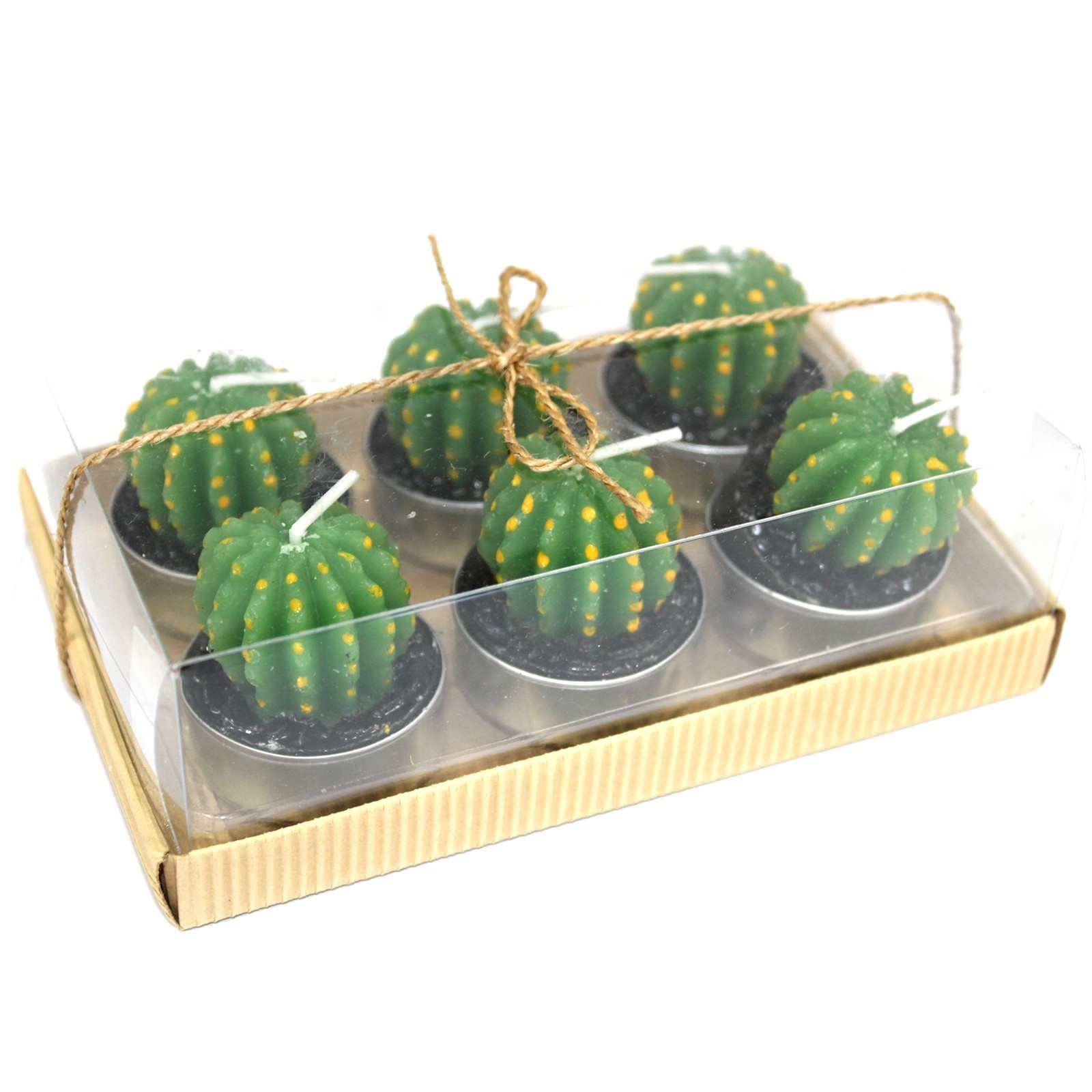 Set of 6 Barrel Cactus Tealights in Gift Box
